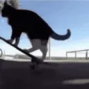 SCgetreal SCgetreal