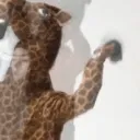 aMinhoGiraffe