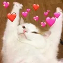 w_lazymeow