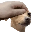 pippajudge_pat
