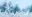 winter_01