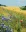 sommer_01