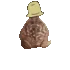 frogespin frogespin