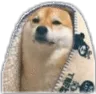JimJam_nalla