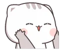 medicatchubbycheeks