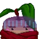 KiwiOhNo