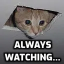 lurking lurking