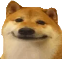 ad_doge_palmface