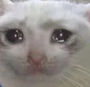 Sad