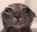 WAAAAAHHHHH