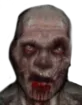 zambak