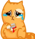 lsk_suicidekotik