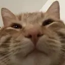 squintingHowie squintingHowie
