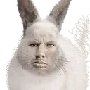 kroll