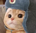 Soviet_Cat Soviet_Cat