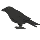 Raven