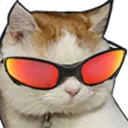 GatoJulieti