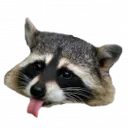 raccblep raccblep
