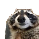 CFraccbruh Discord emoji