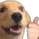 CZ_YesDoggo CZ_YesDoggo