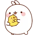 bunny123