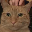 huh