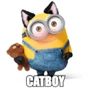 catboybob catboybob