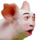 pogpig Discord Emoji