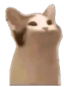 popcat