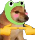 froggie_cheemsshy