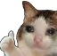 preo_ok