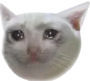 Sadpuss