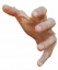 left_hand