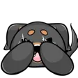 JHide