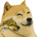 c_dogeHug