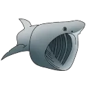 SharkPog