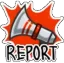 Report