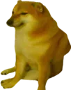 doge doge