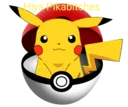 pikabitches
