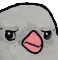 BirdReally