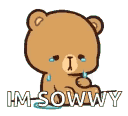 sowwy