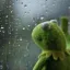 kermit_window kermit_window