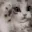 kittylol