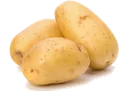 potato3