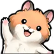 hammywave