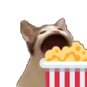popcornbwop
