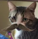 catkiocatmustache Discord Emoji