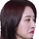 SuaFrownLook Discord Emoji