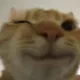 LSkittyWink