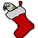 HarveyStocking